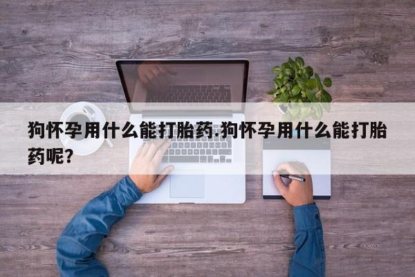 米非司酮片米索前列醇在线下单购买狗怀孕用什么能打胎药.狗怀孕用什么能打胎药呢？