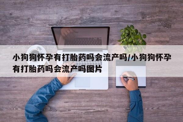 米非司酮片米索前列醇在线下单购买小狗狗怀孕有打胎药吗会流产吗/小狗狗怀孕有打胎药吗会流产吗图片