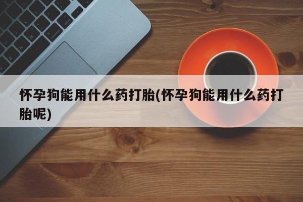 米非司酮片米索前列醇在线下单购买怀孕狗能用什么药打胎(怀孕狗能用什么药打胎呢)