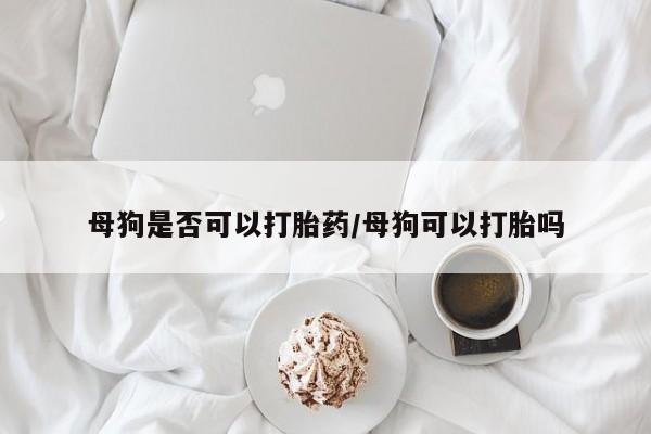 米非司酮片米索前列醇在线下单购买母狗是否可以打胎药/母狗可以打胎吗